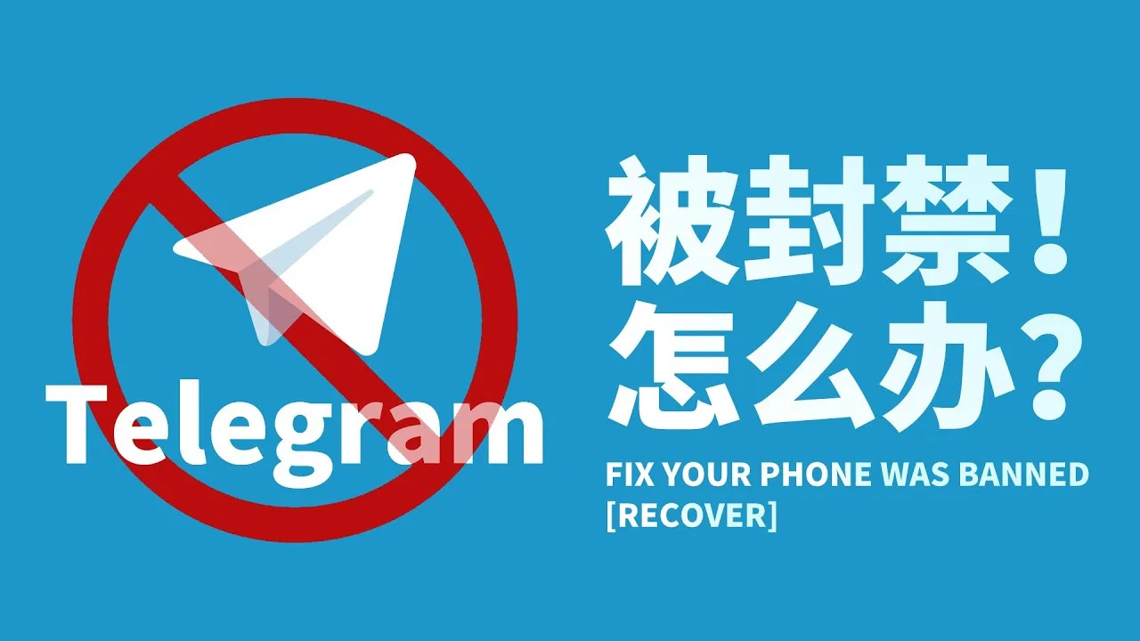 Telegram网页版